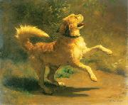 Rudolf Koller, Springender Hund